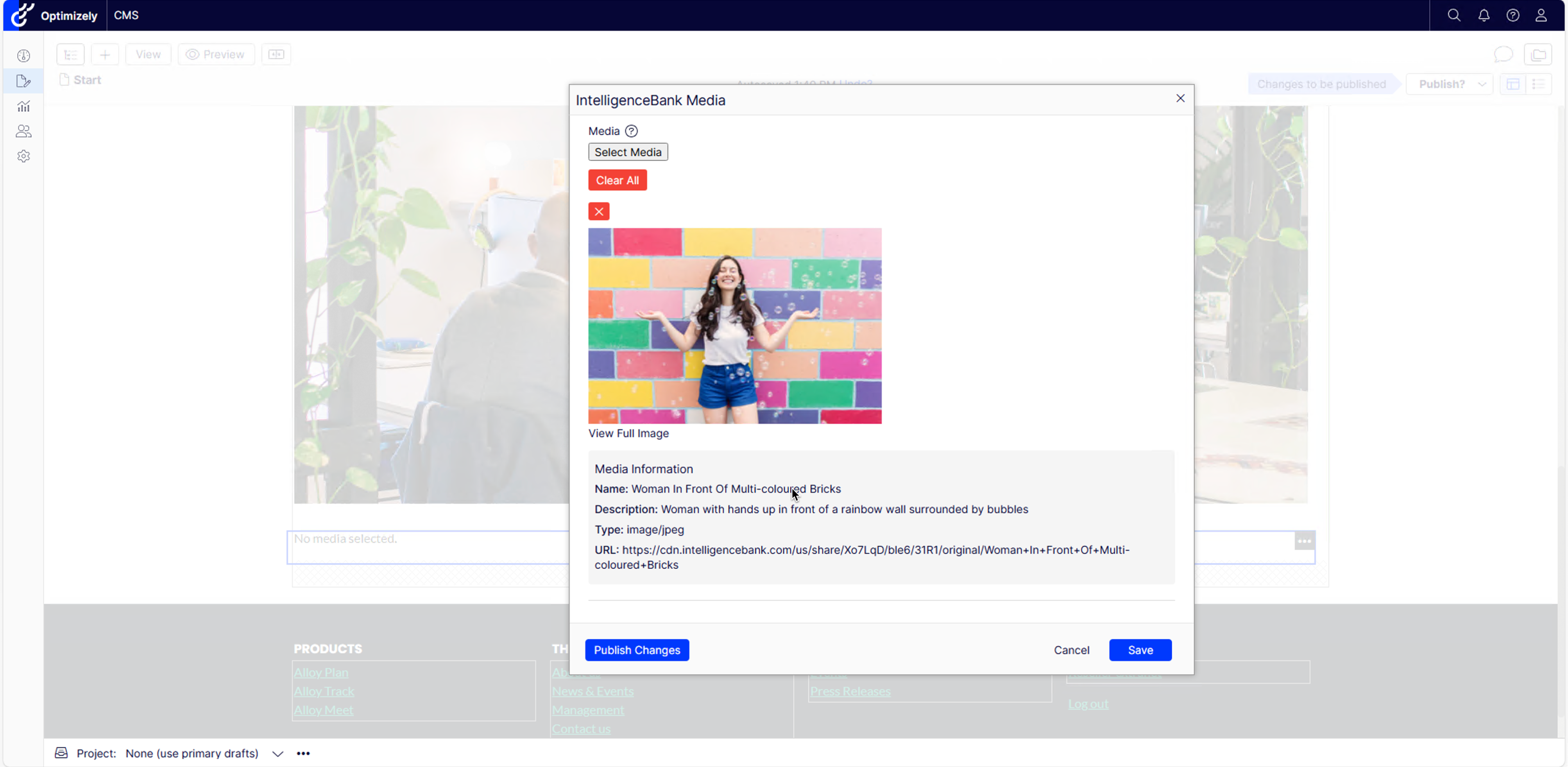 optimizely_selected_media.png