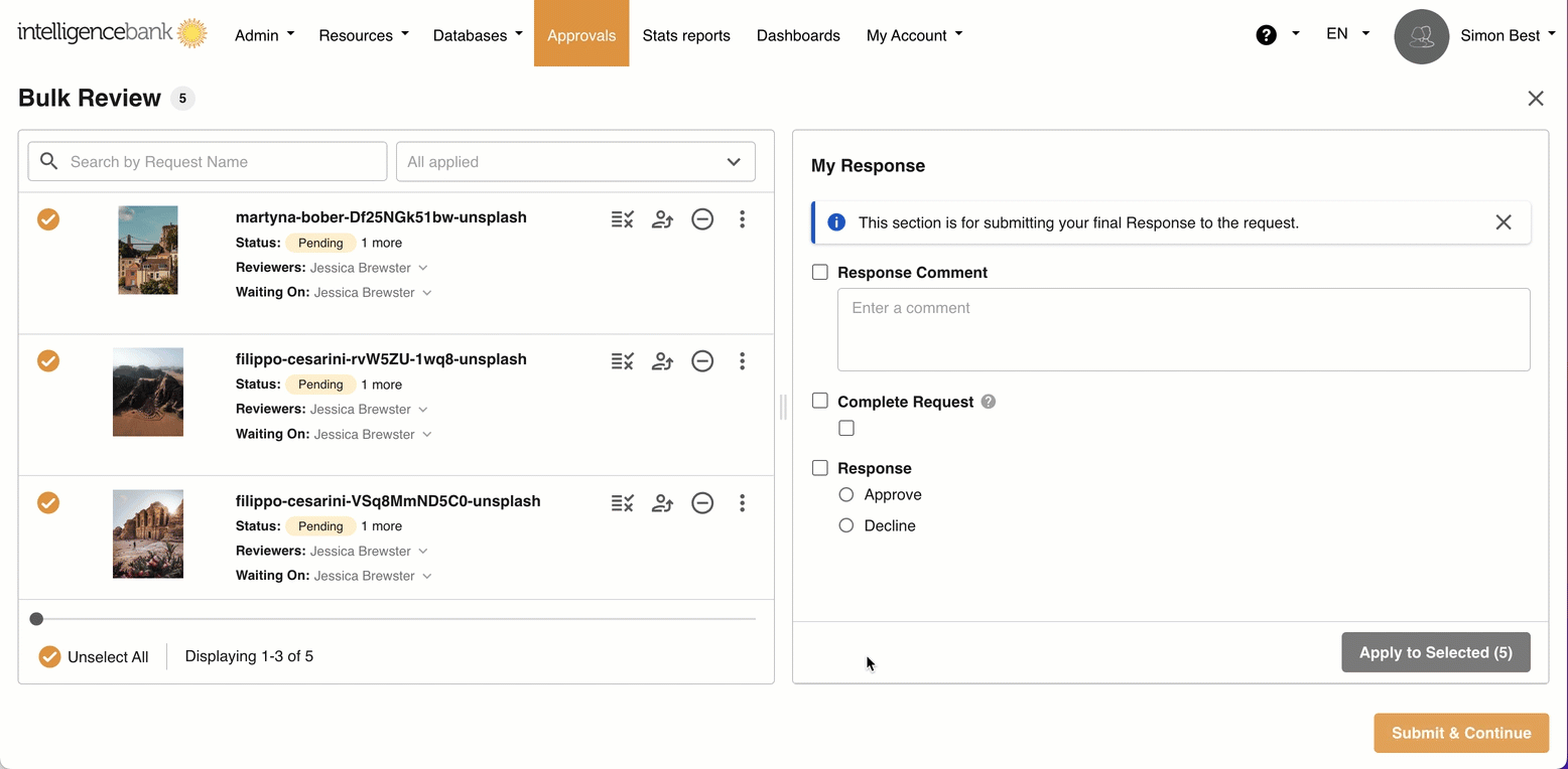 Bulk Review Walkthrough.gif