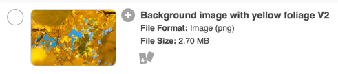 Alias_file.png