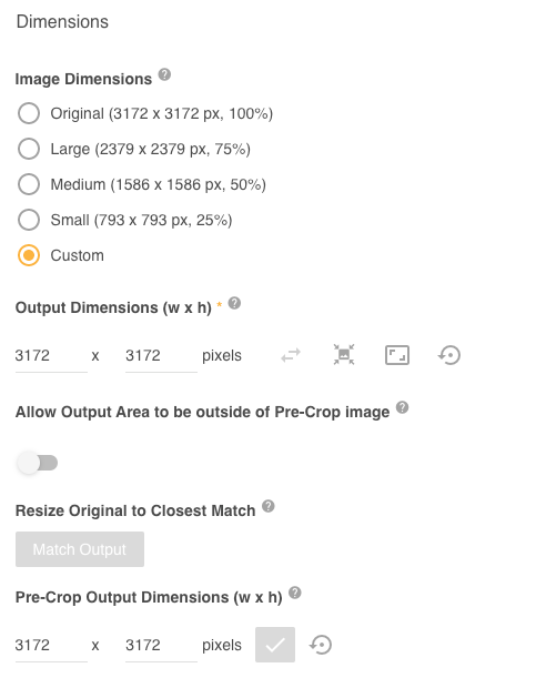 Custom_Dimensions_not_allow_output.png
